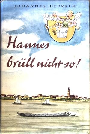 Image du vendeur pour Hannes, brll nicht so!. mis en vente par books4less (Versandantiquariat Petra Gros GmbH & Co. KG)