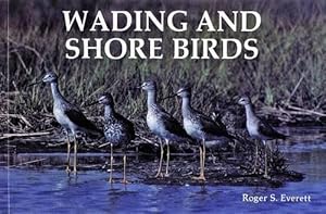 Imagen del vendedor de Wading and Shore Birds (Paperback) a la venta por AussieBookSeller