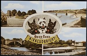Kirkudbright Scotland Postcard Lucky Dog Series