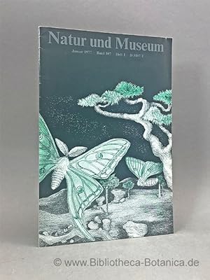 Imagen del vendedor de Natur und Museum. Bd. 107. H.1. Bericht der Senckenbergischen Naturforschenden Gesellschaft. a la venta por Bibliotheca Botanica