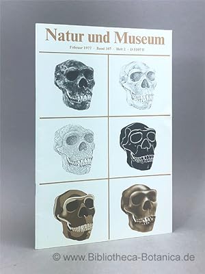 Imagen del vendedor de Natur und Museum. Bd. 107. H.2. Bericht der Senckenbergischen Naturforschenden Gesellschaft. a la venta por Bibliotheca Botanica
