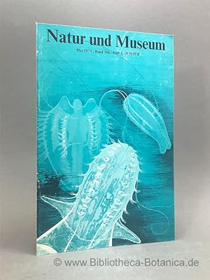 Imagen del vendedor de Natur und Museum. Bd. 106. H.5. Bericht der Senckenbergischen Naturforschenden Gesellschaft. a la venta por Bibliotheca Botanica