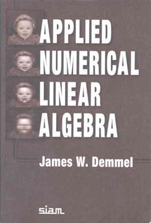 Immagine del venditore per Applied Numerical Linear Algebra venduto da GreatBookPricesUK