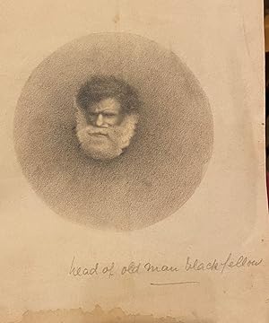 Drawing of the head of an Aboriginal man