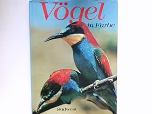 Seller image for Vgel in Farbe : for sale by Antiquariat Buchhandel Daniel Viertel