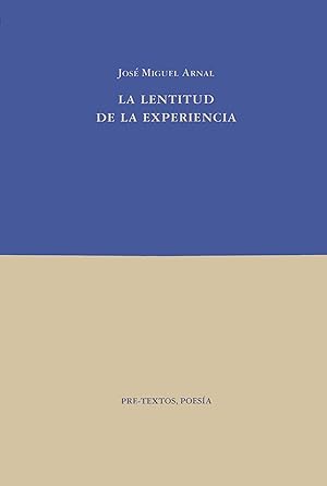 Seller image for La lentitud de la experiencia . for sale by Librera Astarloa