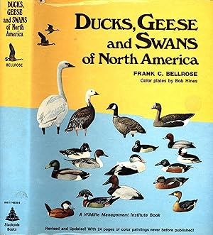 Immagine del venditore per Ducks, Geese and Swans of North America venduto da Back of Beyond Books WH