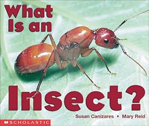 Image du vendeur pour What Is An Insect? (Emergent Readers) mis en vente par Reliant Bookstore