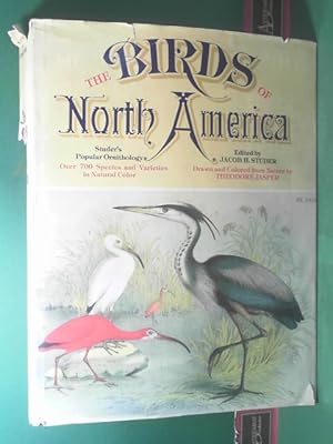 The Birds of North America. Studer's Popular Ornithology.