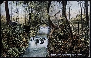 Peckham Rye Park London Waterfalls Vintage Postcard PECKHAM PUBLISHER