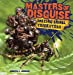Seller image for Masters of Disguise: Amazing Animal Tricksters [Soft Cover ] for sale by booksXpress