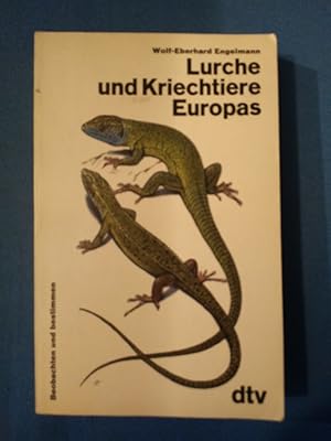 Immagine del venditore per Lurche und Kriechtiere Europas. Wolf-Eberhard Engelmann . Zeichn. von Jrgen Scholz u. Traudl Schneehagen / dtv ; 3263 : dtv - Enke; Beobachten und bestimmen venduto da Antiquariat BehnkeBuch