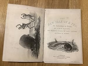The new Tale of a tub. An adventure in verse. By F.W.N. Bayley. With illustrations, designed by L...