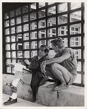 Immagine del venditore per Spartacus (Original photograph of Stanley Kubrick and Kirk Douglas on the set of the 1960 film) venduto da Royal Books, Inc., ABAA