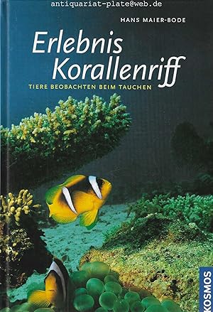 Erlebnis Korallenriff. Tiere beobachten beim Tauchen.