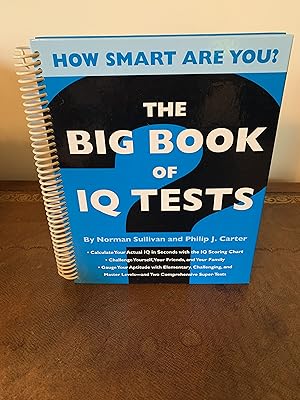 Seller image for The Big Book of IQ Tests for sale by Vero Beach Books