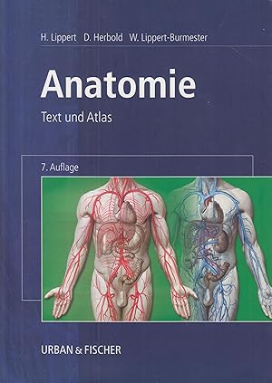 Image du vendeur pour Anatomie Text und Atlas mis en vente par Leipziger Antiquariat