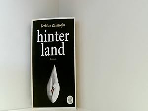 Seller image for Hinterland: Roman for sale by Book Broker