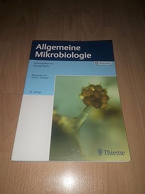 Georg Fuchs, Hans G. Schlegel, Allgmeine Mikrobiologie / 10. Auflage