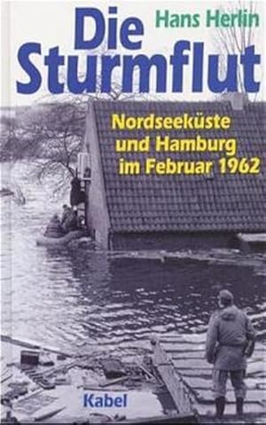 Seller image for Die Sturmflut for sale by Buchhandlung Loken-Books
