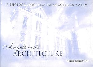 Seller image for Angels in the Architecture: A Photographic Elegy to an American Asylum (Great Lakes Books Series) for sale by M Godding Books Ltd