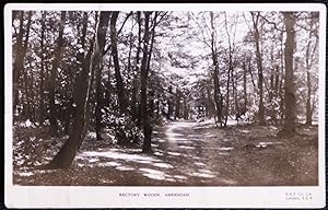 Immagine del venditore per Amersham Postcard Rectory Woods Real Photo venduto da Postcard Anoraks