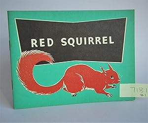 Imagen del vendedor de Red Squirrel a la venta por Waimakariri Books and Prints Limited