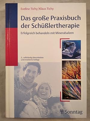 Das große Praxisbuch der Schüßlertherapie. Erfolgreich behandeln mit Mineralsalzen.