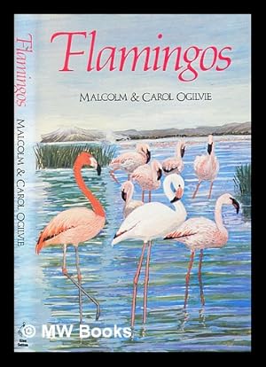 Imagen del vendedor de Flamingos / Malcolm and Carol Ogilvie a la venta por MW Books Ltd.