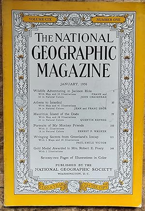 Immagine del venditore per National Geographic Magazine : January, 1956 / Wildlife Adventuring in Jackson Hole" with the Craigheads, "Athens to Istanbul" with the Shors, "Mauritius, Island of the Dodo" with Keynes, "Portraits of My Monkey Friends" by Walker, "Wringing Secrets from Greenland's Icecap" from Victor. venduto da Shore Books