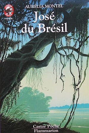 Image du vendeur pour Jos du Brsil mis en vente par Bouquinerie L'Ivre Livre