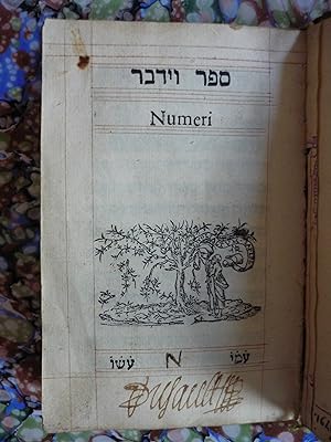 Biblia hebraica - Numeri . (Only 4° pars Numeri)