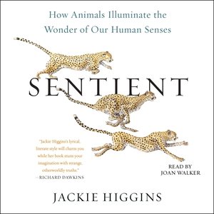 Imagen del vendedor de Sentient : How Animals Illuminate the Wonder of Our Human Senses a la venta por GreatBookPrices