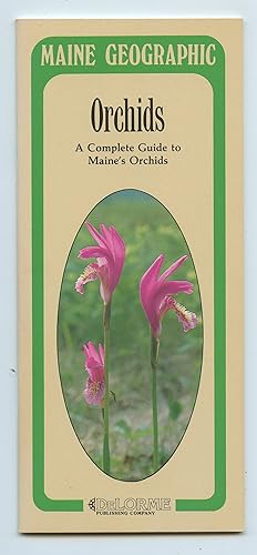 Seller image for Orchids: A Complete Guide to Maine's Orchids for sale by Attic Books (ABAC, ILAB)