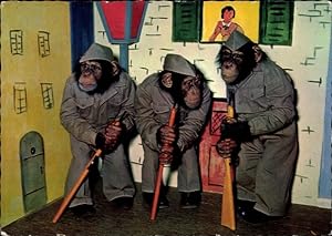 Ansichtskarte / Postkarte Schimpansen in Uniformen mit Gewehren, vermenschlichte Affen