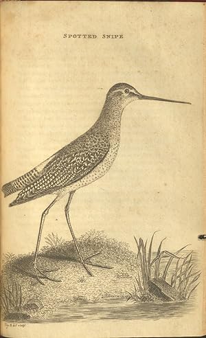 Ornithological Dictionary; or, Alphabetical Synopsis of British Birds. WITH The Supplement.