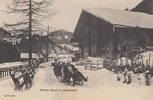 Family Sleighing Winter Sport In Adelboden Switzerland Rare Postcard