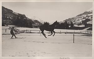 Adelboden Wild Horse & Ski Race Rider Switzerland Old Postcard