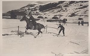 Adelboden Horse Ski Race Practice Training Switzerland Old Postcard