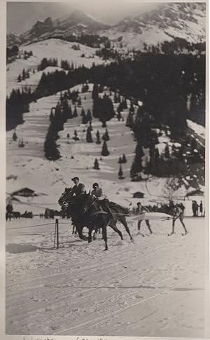 Adelboden Skiing Race Tied To Horse Antique Switzerland Postcard