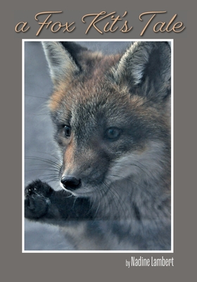 Seller image for A Fox Kit's Tale (Paperback or Softback) for sale by BargainBookStores