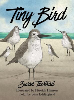 Seller image for Tiny Bird (Hardback or Cased Book) for sale by BargainBookStores