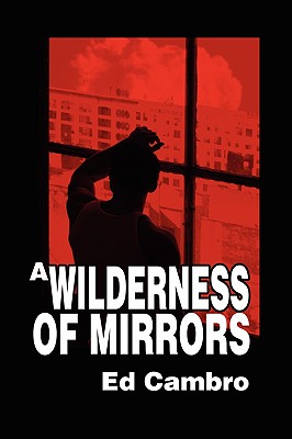 Immagine del venditore per A Wilderness of Mirrors (Paperback or Softback) venduto da BargainBookStores