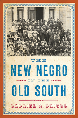 Imagen del vendedor de The New Negro in the Old South (Paperback or Softback) a la venta por BargainBookStores