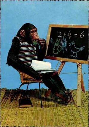 Ansichtskarte / Postkarte Schimpanse beim Lernen, Tafel, Heft