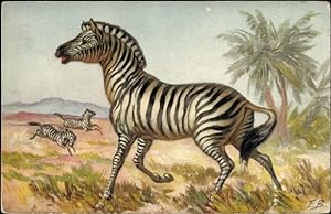 Künstler Ansichtskarte / Postkarte Zebras, Tierportrait, Palme