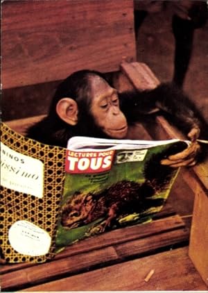 Ansichtskarte / Postkarte Schimpanse eine Zeitung lesend
