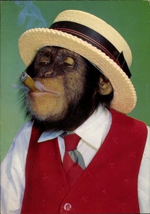 Ansichtskarte / Postkarte Schimpanse Zigarette rauchend, Hut, Weste, Hemd