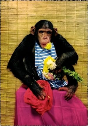 Ansichtskarte / Postkarte Schimpanse mit Blumen, Kleidung
