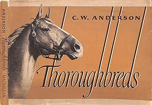 Thoroughbreds